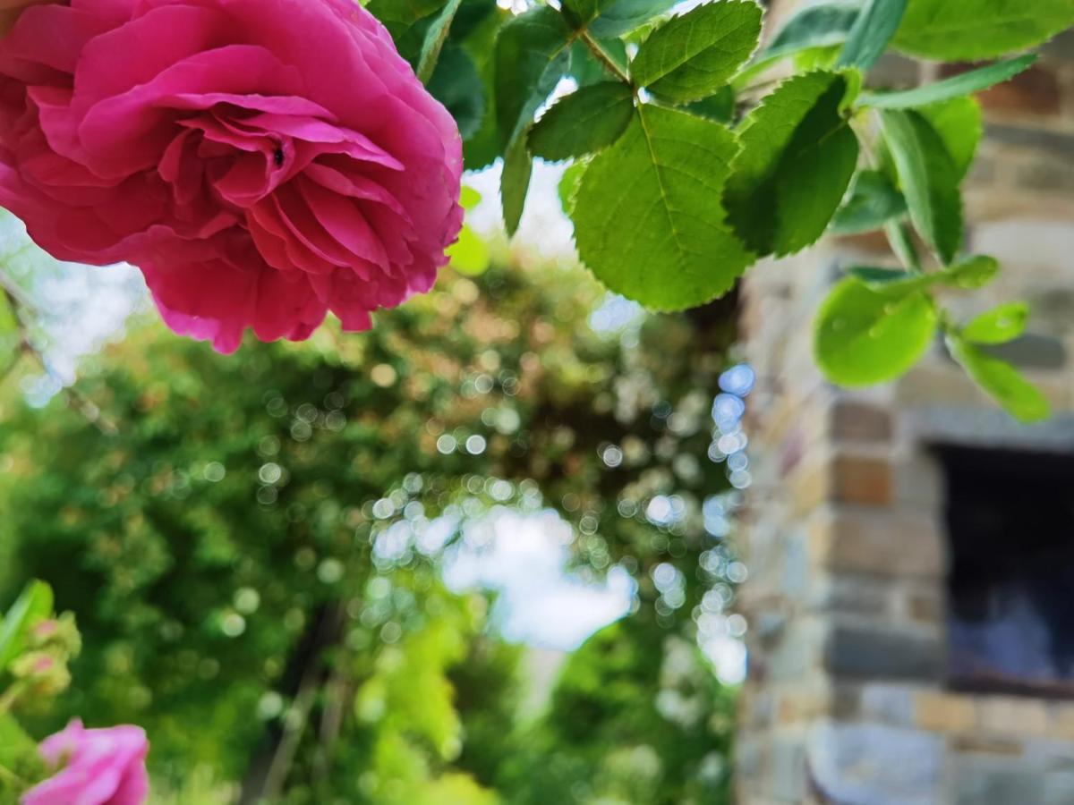 Ferienhaus Eifelrose Simmerath Exterior foto
