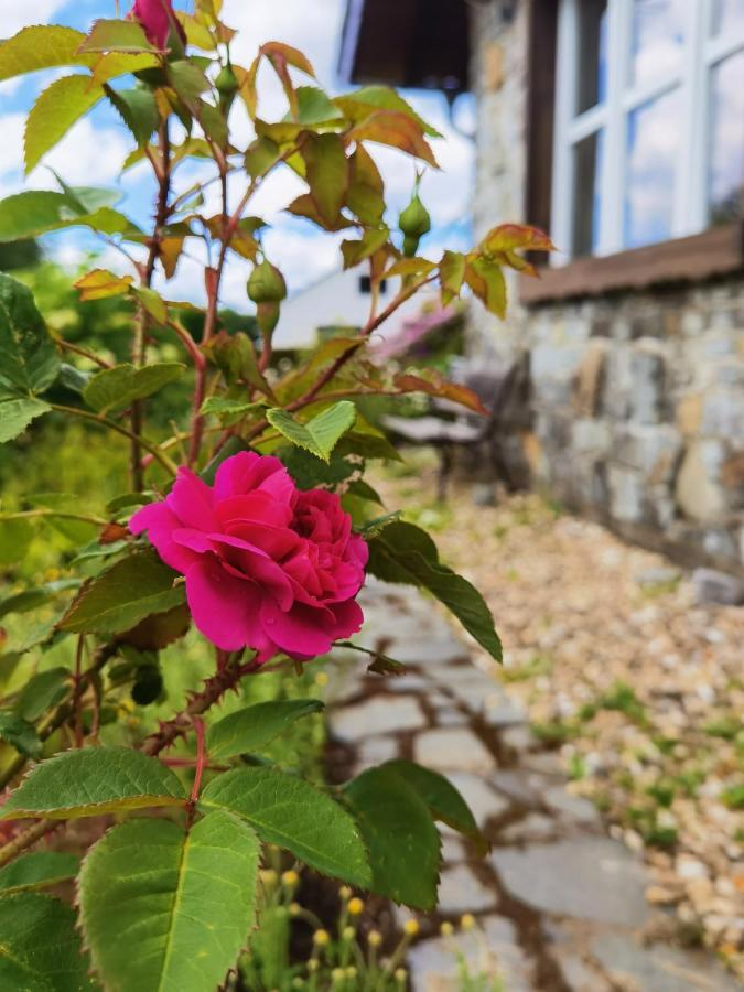 Ferienhaus Eifelrose Simmerath Exterior foto